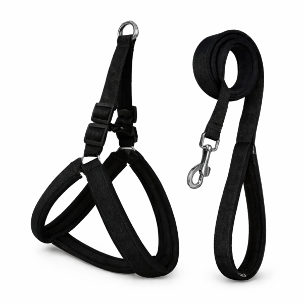 soft padded dog harness leash set