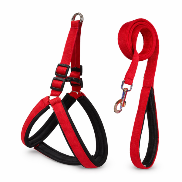 soft padded dog harness leash set