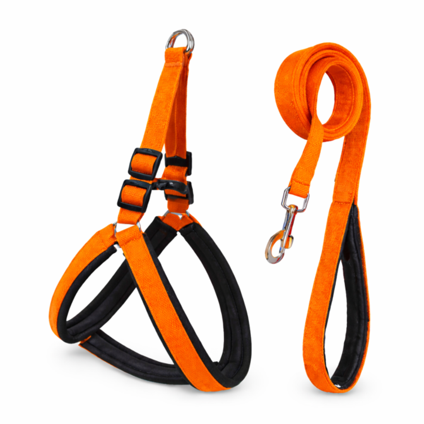 soft padded dog harness leash set