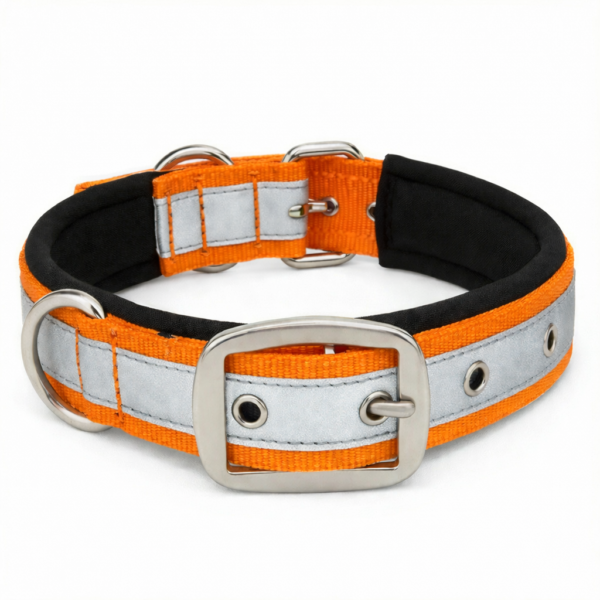 chatgpt image feb 5 2026 07 11 46 pm.png