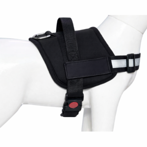 chatgpt image jan 30 2026 10 33 34 pm 83157514 a80e 4915 85ef e874a1447837.png