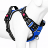 dog chest harness / belt harness