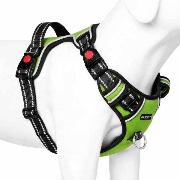 dog chest harness / belt harness