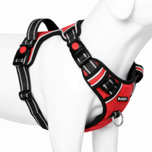 chatgpt image jan 31 2026 04 07 05 pm.png