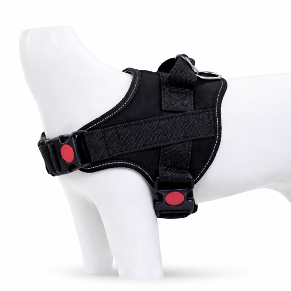 chatgpt image jan 31 2026 05 02 23 pm.png chatgpt image jan 31 2026 05 02 23 pm.png