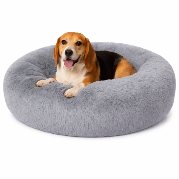 chatgpt image jan 31 2026 07 10 41 pm.png