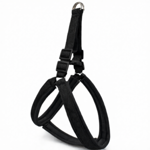 chatgpt image jan 31 2026 08 14 30 pm.png