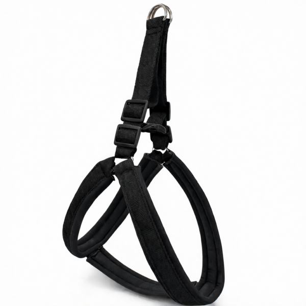 chatgpt image jan 31 2026 08 14 30 pm.png