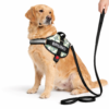 dog vest harness