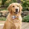 dog bowtie collar dog bowtie collar