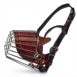 gemini generated image dd8rn1dd8rn1dd8r.png gemini generated image dd8rn1dd8rn1dd8r.png