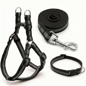 gemini generated image fbdxykfbdxykfbdx 6e52c679 6160 4b08 ae6d d1e2df1ed284.png