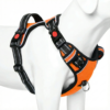 dog chest harness / belt harness