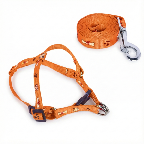 printed puppy collar leash set printed puppy collar leash set