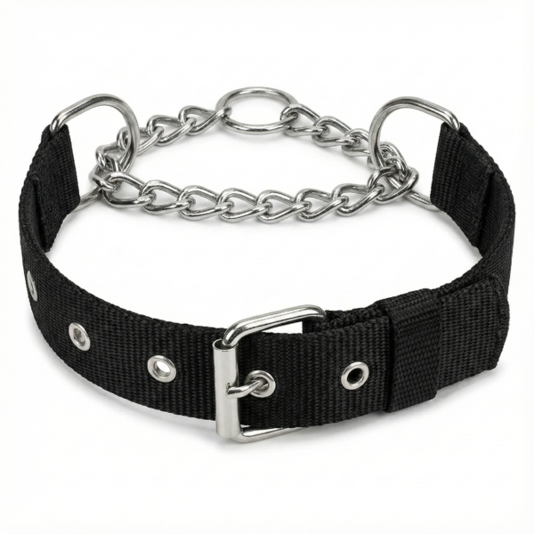 dog choke collar