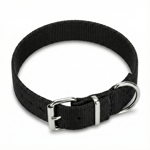 plain dog neck collar