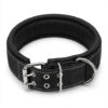 soft padded double pin tactical collar